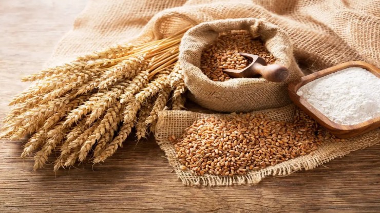 India needs 450 million tonnes foodgrain production by 2047 to meet future demand