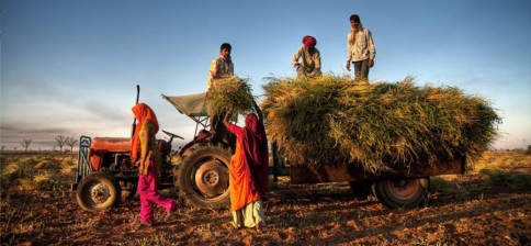 Why India cannot afford to blink on data exclusivity