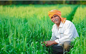 15 August celebration with farmers