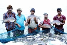 Government of India approved fisheries projects worth ₹579.72 crore for Bihar under PMMSY